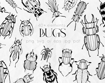 Bugs SVG, Insects SVG, bugs outline clipart, Beetle svg, line art svg files, insects clipart, svg bundle