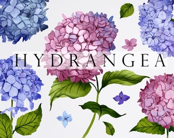 Hydrangea Watercolor Collection - Hydrangea PNG - Watercolor Flowers - Hydrangea Clipart - Watercolor flowers- Bouquets - Wedding DIY