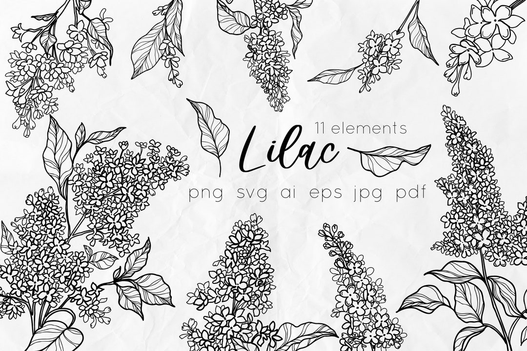 Lilac Flowers Svg, Lilac Line Art Svg Flowers, Floral Svg Clipart