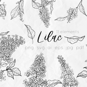 Lila Blumen svg, lila Linie Kunst svg Blumen, floral svg Clipart