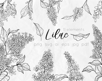 Lilac flowers svg, Lilac line art svg flowers, floral svg clipart