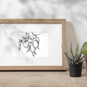 Pu&ograve; includere: Un disegno in bianco e nero di un ramo di limone con limoni appesi. Il disegno &egrave; incorniciato in una cornice di legno marrone chiaro ed &egrave; esposto su una superficie di legno.