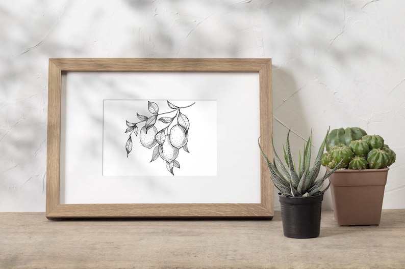 Pu&ograve; includere: Un disegno in bianco e nero di un ramo di limone con limoni appesi. Il disegno &egrave; incorniciato in una cornice di legno marrone chiaro ed &egrave; esposto su una superficie di legno.