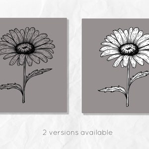May include: Two versions of a black and white line drawing of a daisy on a gray background. The daisy has a single stem and leaves.