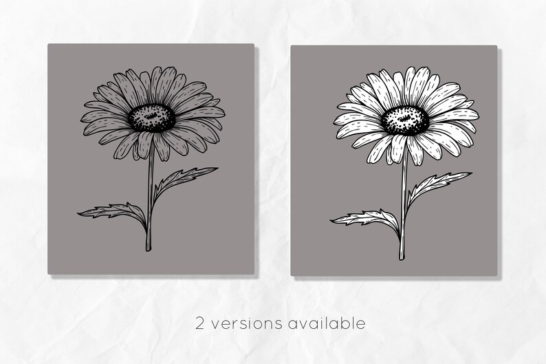May include: Two versions of a black and white line drawing of a daisy on a gray background. The daisy has a single stem and leaves.