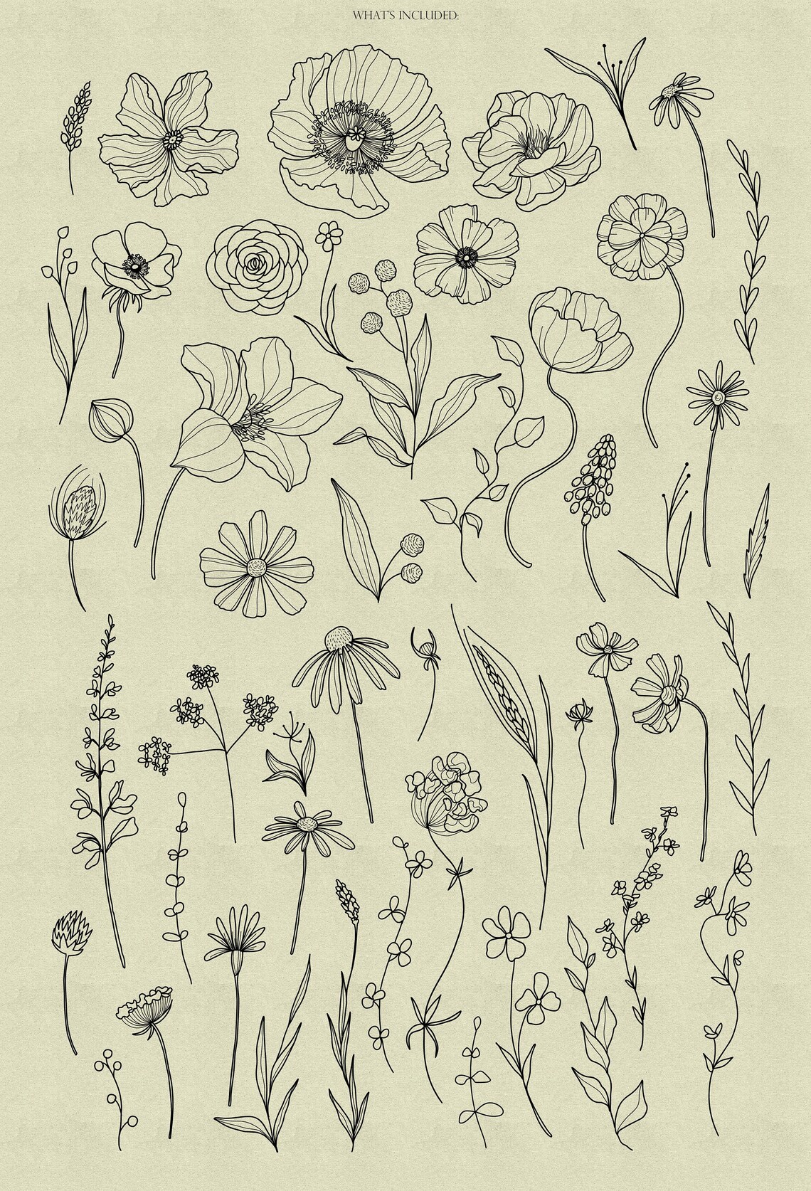 Wildflowers Procreate Stamps, Wildflowers Brushes Procreate, Flower ...