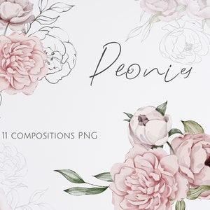 Pfingstrosen Blumenstrauß Aquarell Clipart, PNG Pfingstrose Komposition, rustikale Hochzeit Dekor, rosa Blumen Clipart, Blumen png, Pfingstrose Sublimation