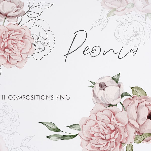 Peonies bouquet watercolor clipart, PNG peony composition, rustic wedding decor, pink floral clipart, flowers png, peony sublimation