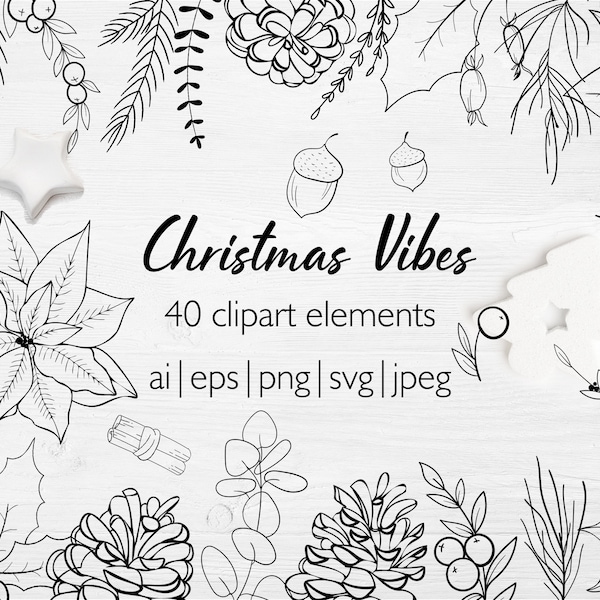 Christmas clipart SVG PNG, Vector christmas line art clipart, christmas floral individual elements, poinsettia, mistletoe, cone, eucalyptus