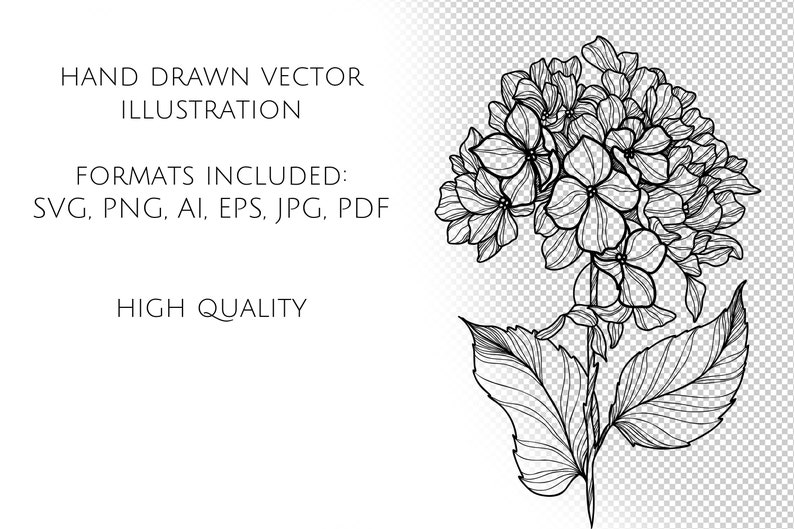 Hydrangea SVG - Flowers Line Art SVG - Floral SVG - Wedding Flowers ...