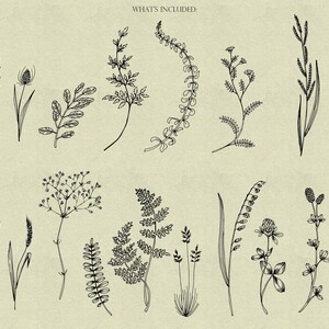 Wildflowers Procreate Stamps, Wildflowers Brushes Procreate, Flower ...