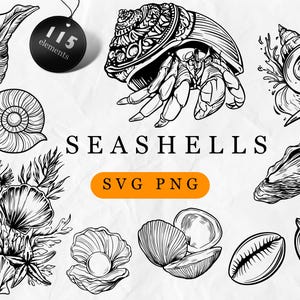 May include: Black and white line art illustrations of various seashells, including a hermit crab, conch shells, and an oyster. The word "SEASHELLS" is displayed in large text, with "SVG PNG" below.