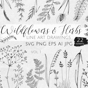 Flores SVG, flores silvestres, ervas, caules e galhos desenhados à mão PNG, flores Doodle, clipart de flores, desenho de linha svg, faça você mesmo, flores para impressão