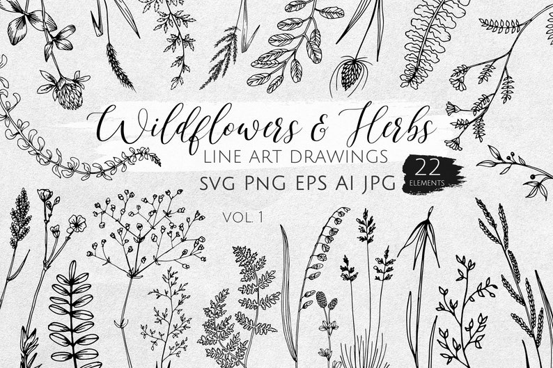 Floral Line drawing SVGs - Wildflowers and Herbs