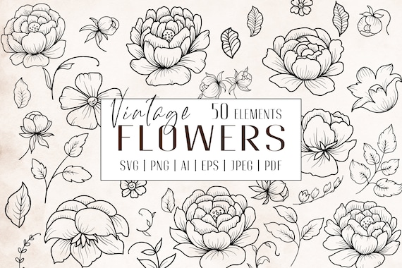 Floral svg, flowers outline svg, svg designs, roses svg, peony svg, botanical clipart, line art, doodle flowers, diy, cut files, flower svg