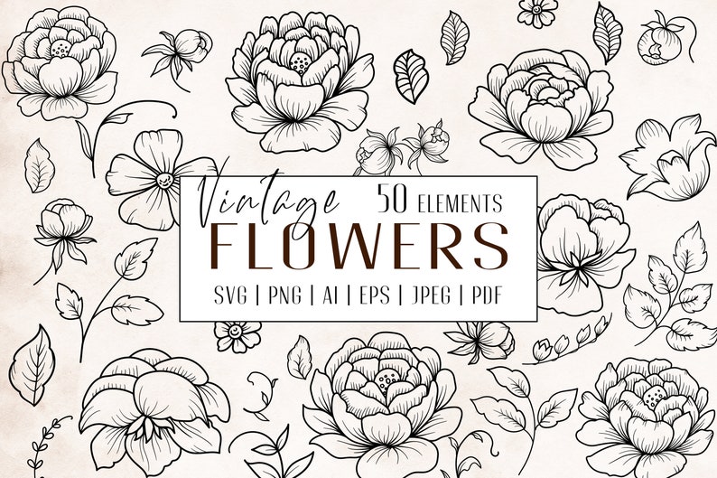 K&ouml;nnte beinhalten: Ein Set mit 50 Vintage-Blumenillustrationen in Schwarzwei&szlig;. Die Blumen sind in einem zarten Stil gezeichnet und umfassen Rosen, Pfingstrosen und andere florale Elemente. Der Text "Vintage Flowers 50 Elements SVG | PNG | AI | EPS | JPEG | PDF" ist im Bild enthalten.