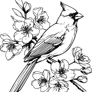 Puede incluir: Ilustraci&oacute;n en blanco y negro de un cardenal posado en una rama florecida. El ave est&aacute; detallada con una cresta y patrones de plumas intrincados. Delicadas flores y hojas rodean al ave, creando un dise&ntilde;o con tem&aacute;tica de la naturaleza.