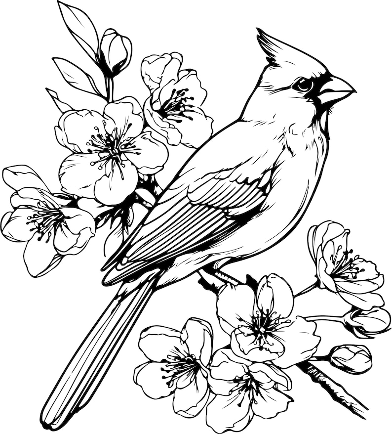 Puede incluir: Ilustraci&oacute;n en blanco y negro de un cardenal posado en una rama florecida. El ave est&aacute; detallada con una cresta y patrones de plumas intrincados. Delicadas flores y hojas rodean al ave, creando un dise&ntilde;o con tem&aacute;tica de la naturaleza.