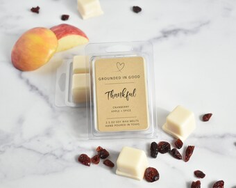 Thankful Wax Melts | Cranberry Apple | Fruity Wax Melts | Teacher Appreciation | Soy Wax Tarts | Baking Scent | Flameless Candle