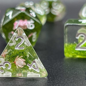 May include: A set of four clear resin dice with green and pink floral accents. The dice are numbered 1 through 6. The dice are a part of a set of polyhedral dice.
