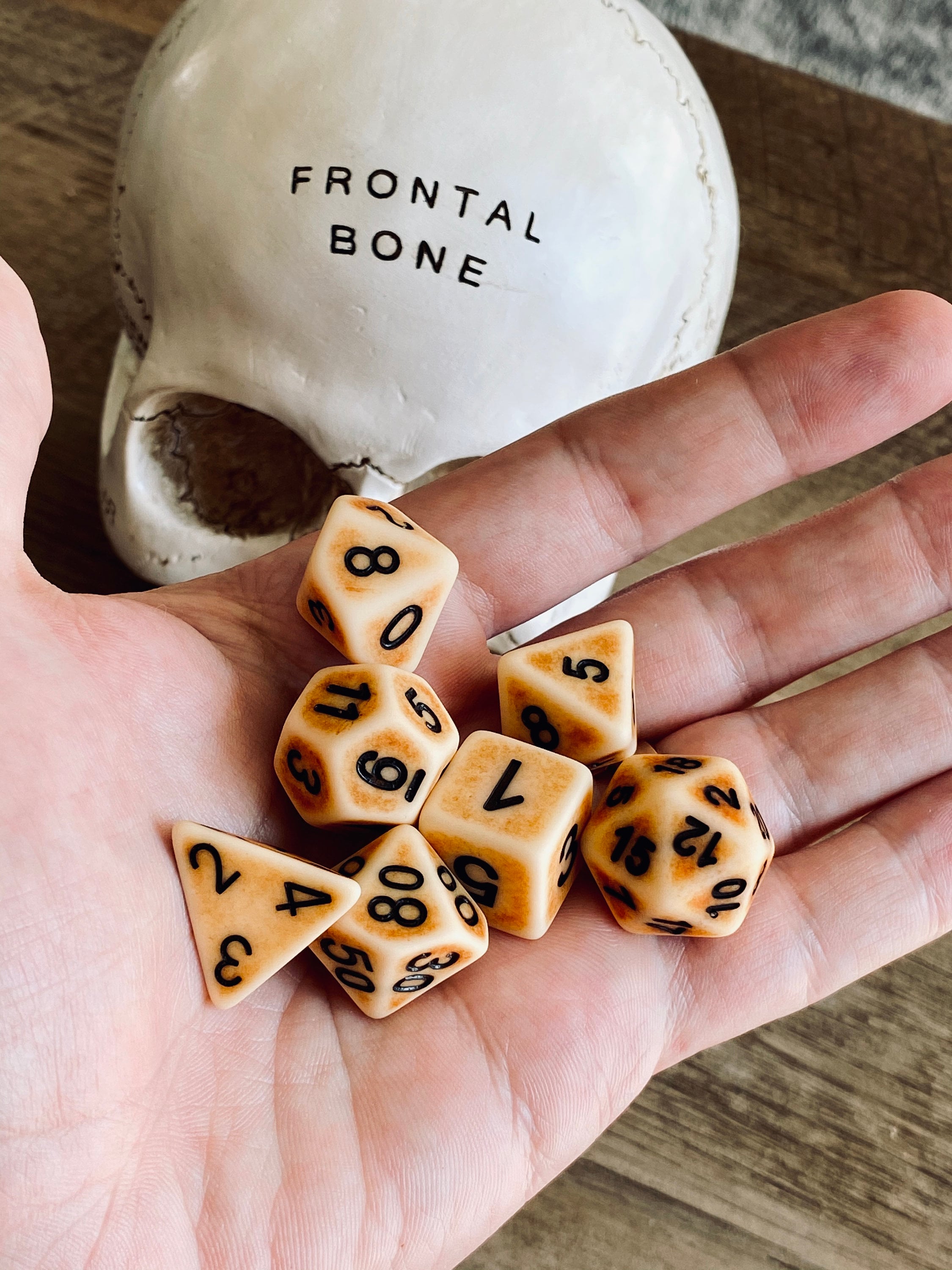 ANCIENT BONE Dnd Dice Set for Dungeons and Dragons Faux Bone Etsy