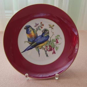 AK Kaiser Alka Kunst Wall Plate Parrot Bird Motif Collector&#39;s Plate Wall Plate Vintage Porcelain