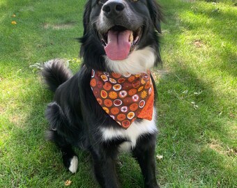 Reversible Pumpkin Dog Bandana