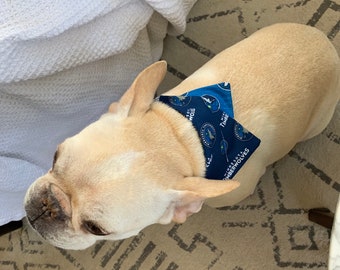 Reversible Minnesota Timberwolves Dog Bandana