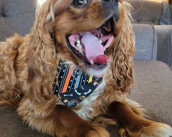 Reversible Skeleton Dog Bandana
