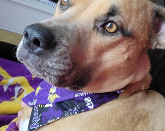 Reversible Minnesota Vikings Dog Bandana