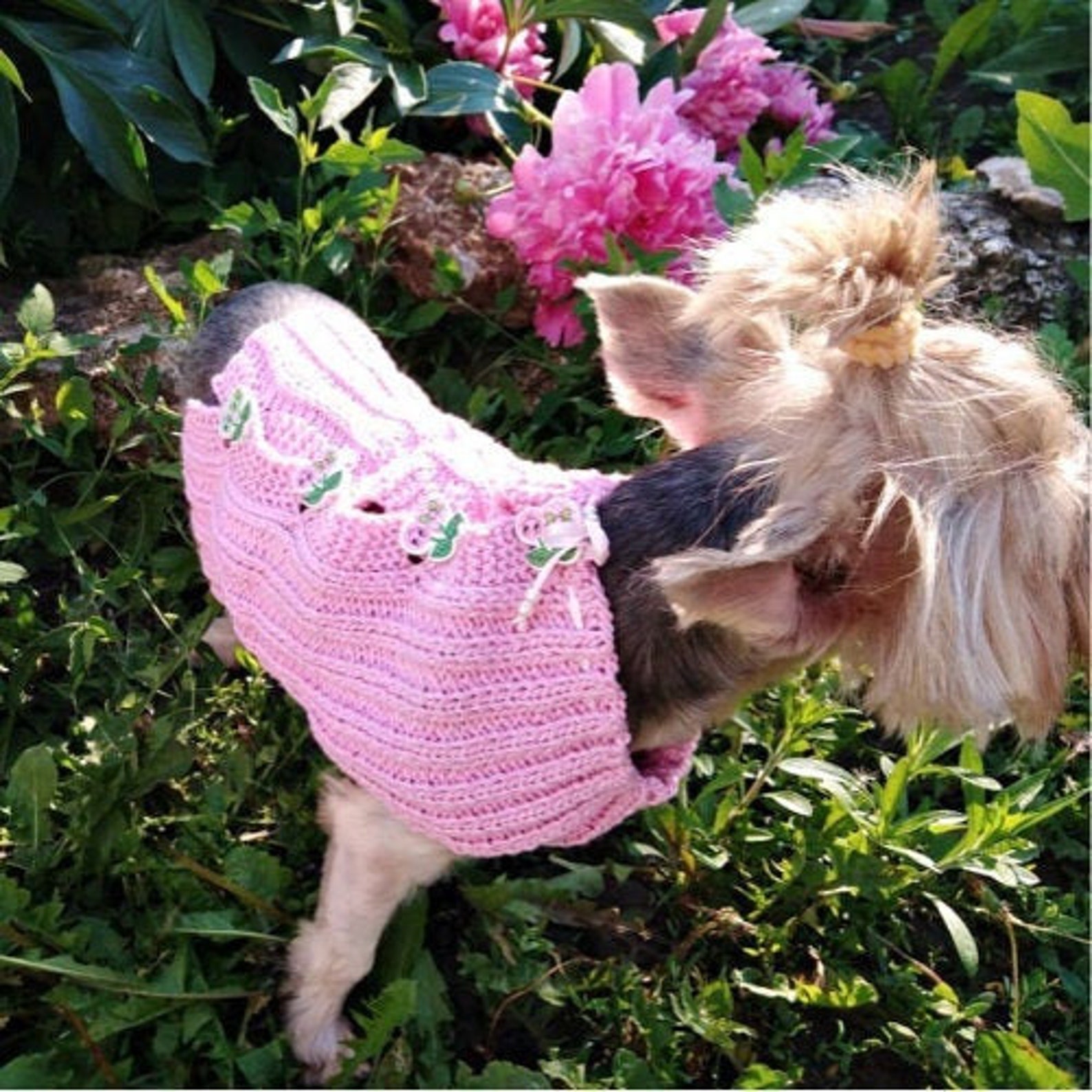 Knitted vest sweater dog PDF / dog clothes/knitting pattern Etsy