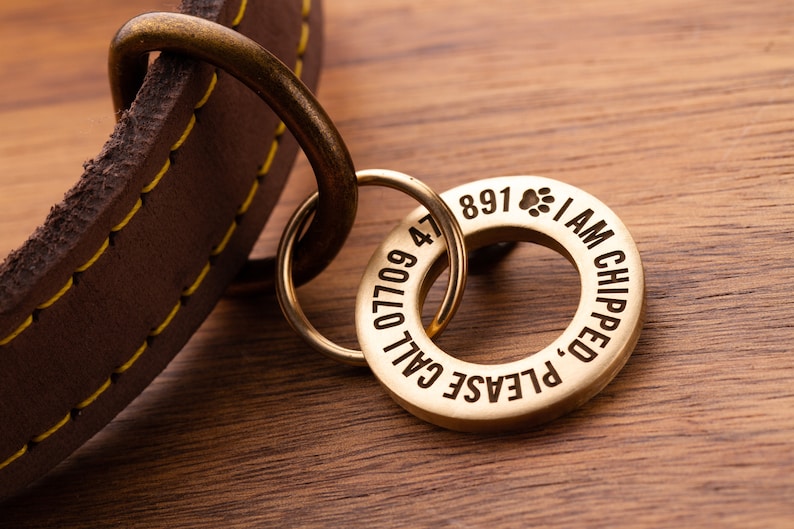 24mm/28mm Solid Brass or Stainless Steel, Professionally Engraved & Polished, Dog / Pet ID Tag image 2