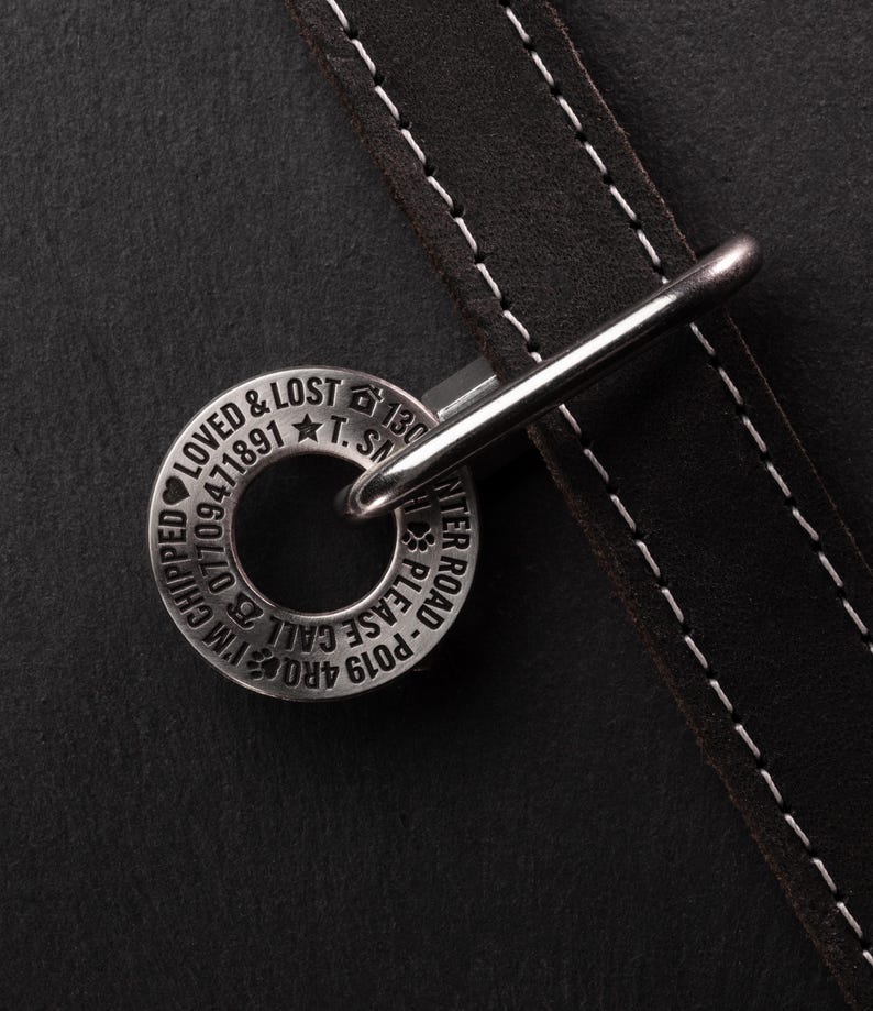 May include: A silver dog tag with the text "PO19  ARO  CALL  PLEASE  -  WATER  ROAD" and "LOVED & LOST  T.S.  130  CHIPPED  07709  1941891" engraved on it. The tag is attached to a brown leather dog collar.