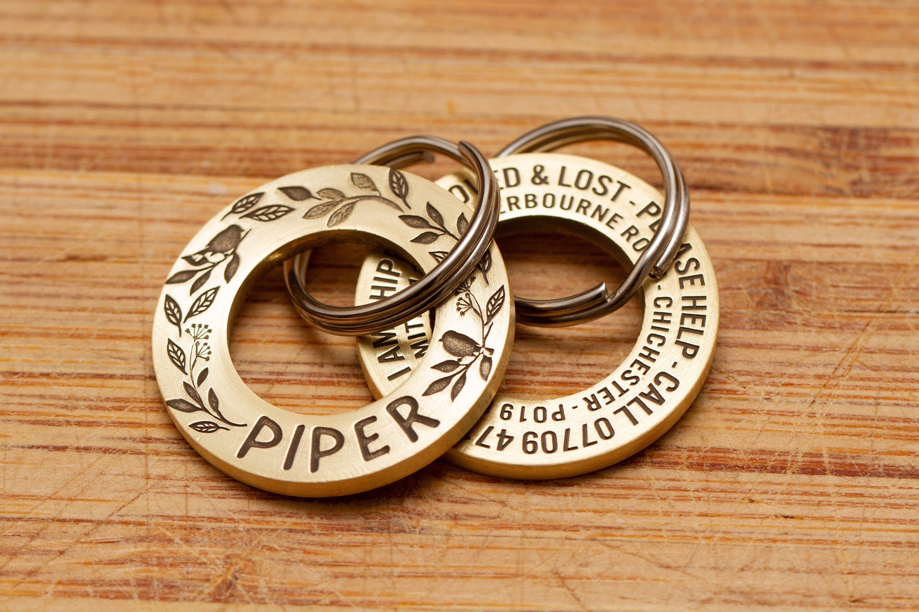 Grande Étiquette d'identification Ronde Personnalisée en Laiton Massif Pour Chiens/Animaux de Compag