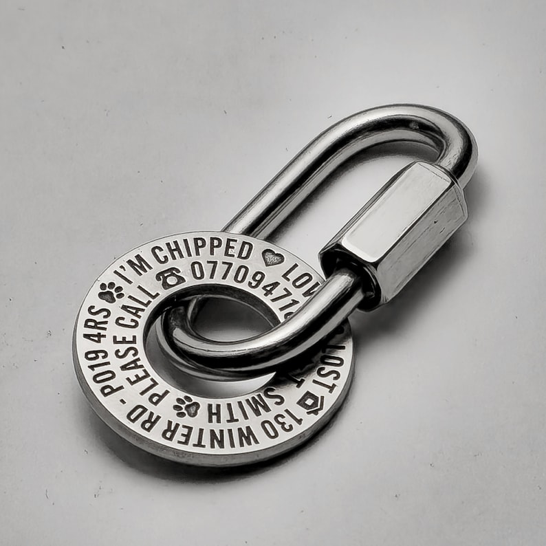 May include: Silver dog tag with engraved text: "I'm chipped, please call 077094714019, Winter Rd 130 Smith, Lost" with a heart symbol and paw prints. The tag is attached to a silver carabiner.