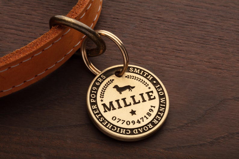 May include: A gold-coloured dog tag with black engraved text. The tag reads "MILLIE", "CHICHESTER PO19 6RS", "07709471891", "130 WINTER ROAD", and "SMITH".
