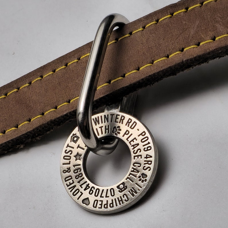 May include: Silver dog tag with the text "CHIPPED 0709471891 LOVED & LOST 1" on one side and "WINTER RD - PO19 4RS PLEASE CALL 1M WITH" on the other side. The tag is attached to a brown leather dog collar.