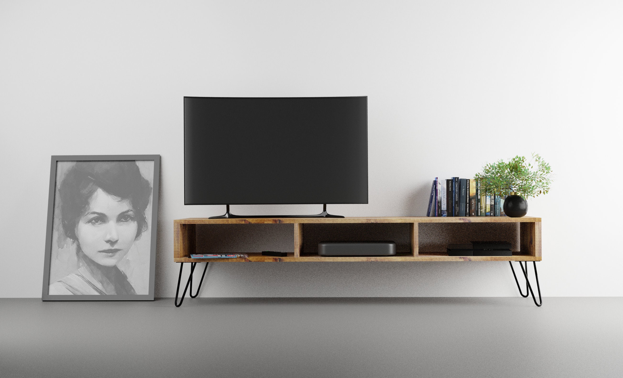 Scandinavian 2024 tv console
