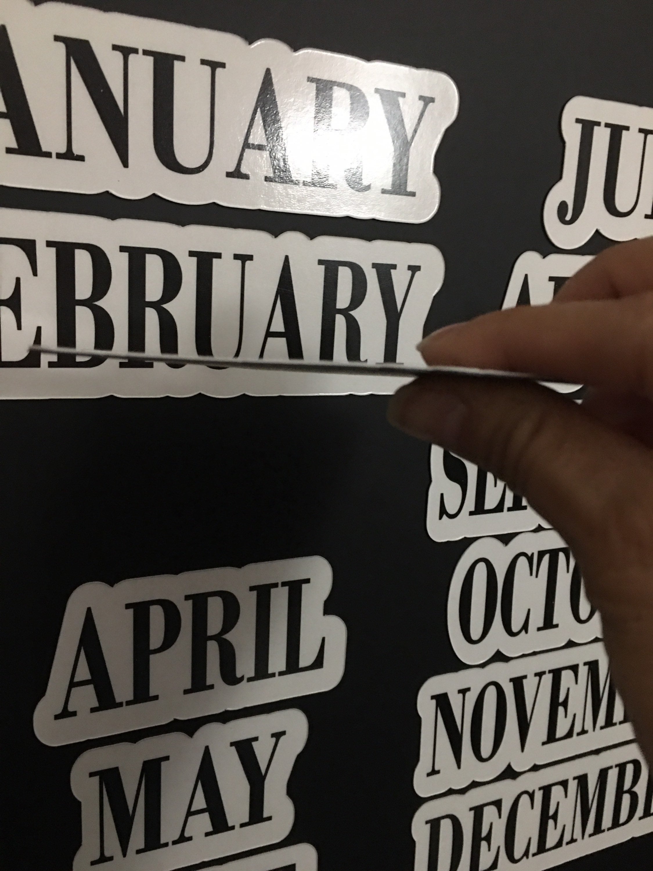 Bodoni Monthly / January Through December Etsy