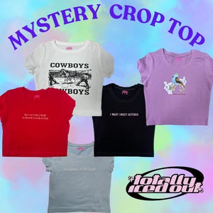 Mystery Crop Top