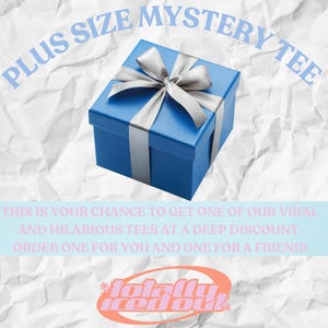 Plus Size Mystery Tee