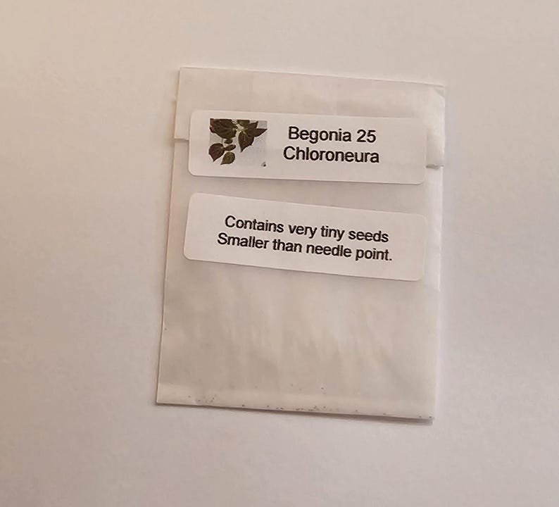 May include: A white paper packet with a label that reads "Begonia 25 Chloroneura". The label also includes a small image of a plant and the text "Contains very tiny seeds Smaller than needle point."