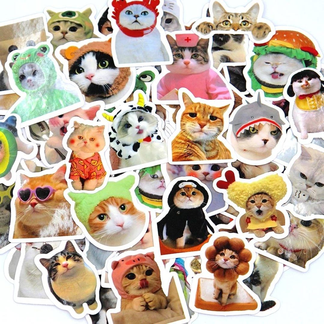 Cute Cat Stickers, Waterproof Graffiti Decals for Water Bottle, Phone ...
