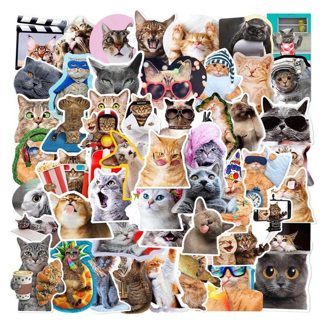 Kawaii Cat Stickers, Waterproof Graffiti Decals for Water Bottle, Phone ...