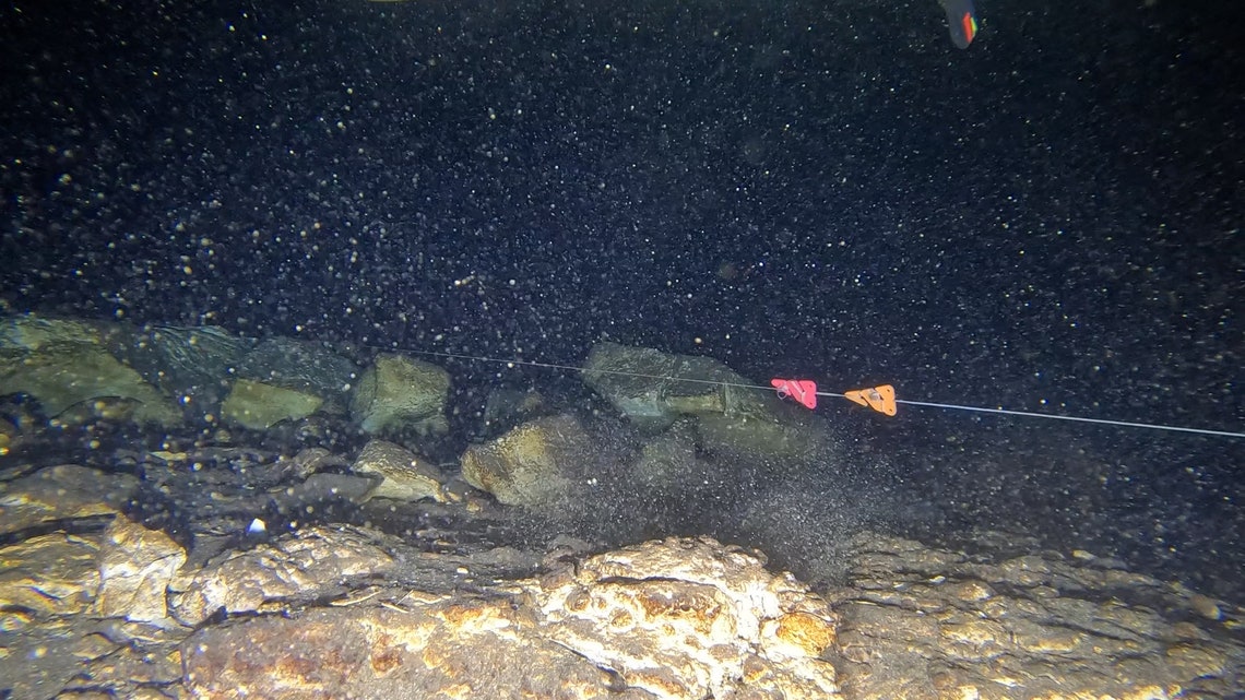 Cave Diver Cookies / Line Markers / Cave Diving / Cave Diver Gear