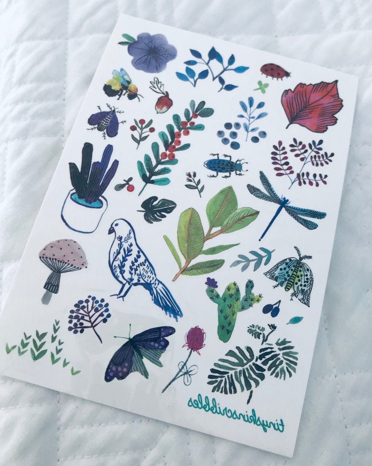 Nature / TEMPORARY TATTOO sheets from New Zealand / hand-drawn / unique designs / skin art / waterproof