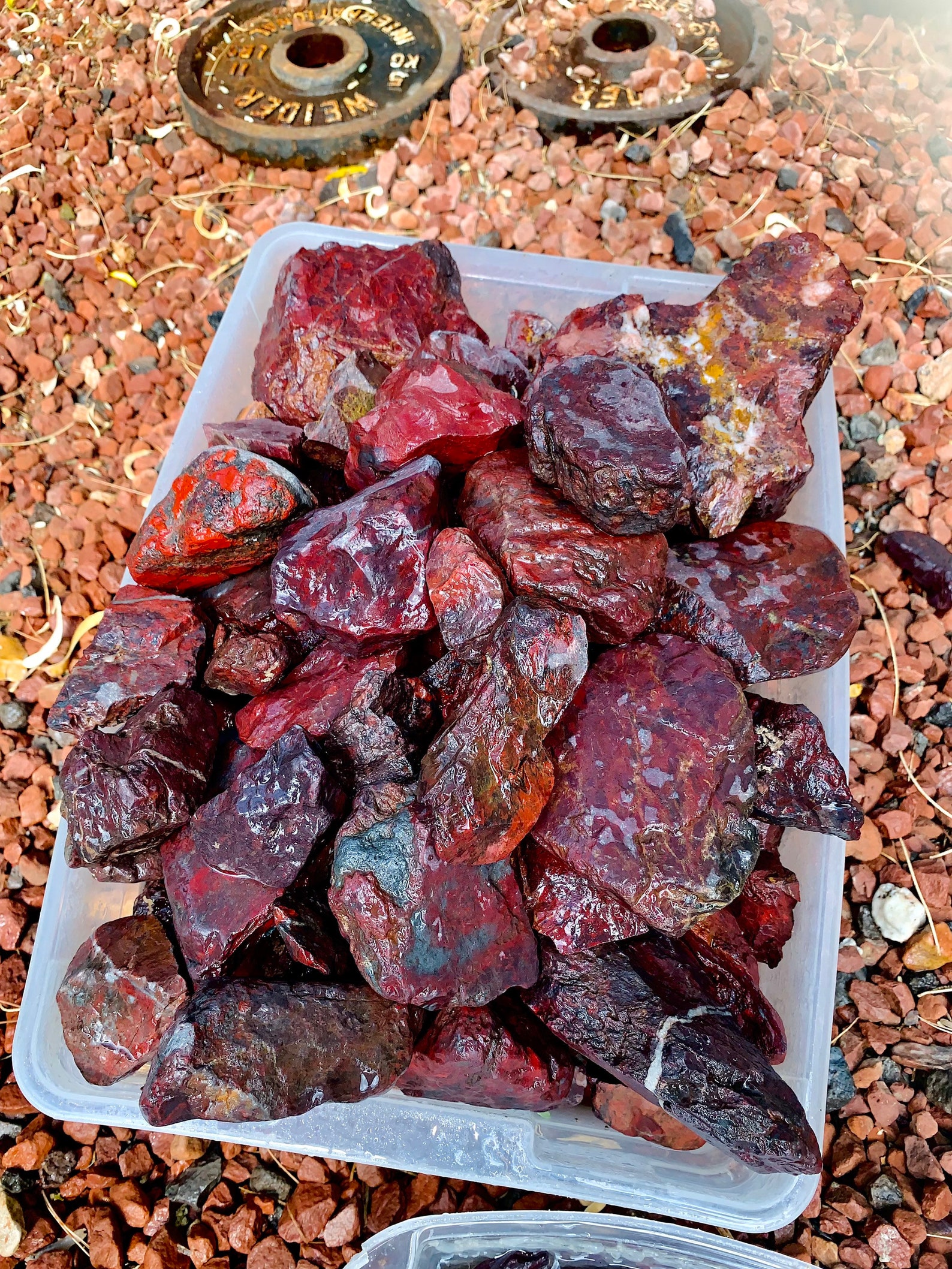 Red Jasper stones with hematite and Quartz veins. 5oz 8oz Etsy