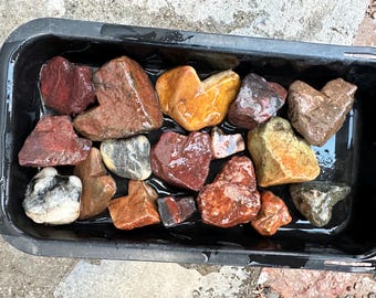 Naturally Shaped Heart Rocks: Collector's Variety Pack