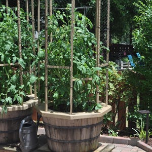Tomate Käfig-Topper