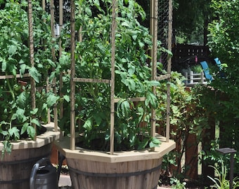 Tomate Käfig-Topper